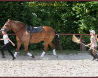 1-13JUIN 0819